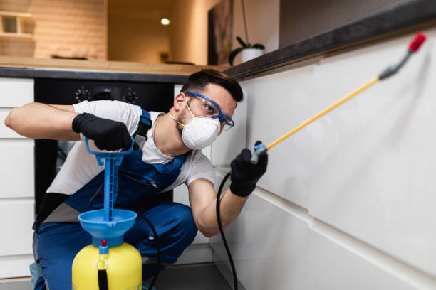 Best Termite Control Services  in Avonmore, PA