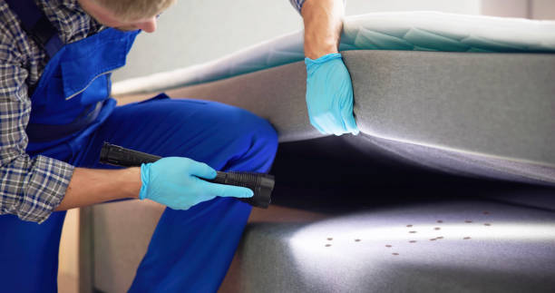 Professional Pest Control in Avonmore, PA