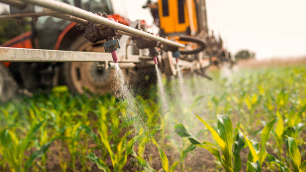 Best Ant Control Services  in Avonmore, PA